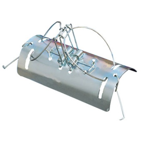 Tunnel mole trap